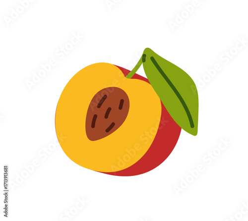 Half of apricot with stone icon. Cut nectarine with leaf. Piece of ripe peach. Tropical fruit, exotic garden crop. Healthy food, organic eating. Flat isolated vector illustration on white background