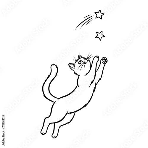 Stargazing Cat: A playful cat, with upturned paws, stretches toward celestial objects, its imagination ignited by the magic of a starry night.