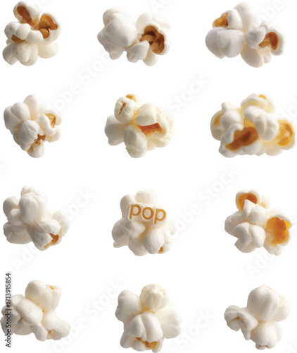 set of seashells