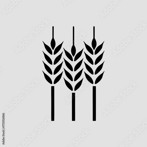 Wheat stalks vector illustration for agriculture farming and harvest design elements and backgrounds use | editable eps