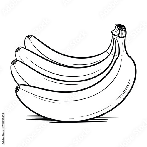 Simple black and white line drawing of a bunch of ripe bananas on a white background