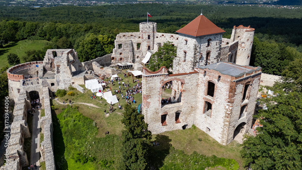 Fototapeta premium Tenczyn Castle, aerial view, Poland