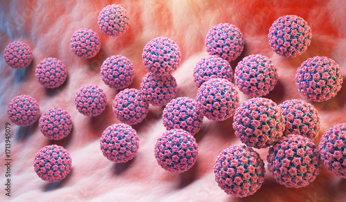 HPV Virus Particles Interacting with Human Cells