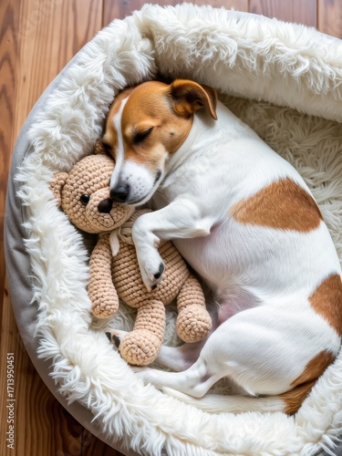 Playful dog sleeping with toy in cozy dog bed indoor setting lifestyle photography warm atmosphere