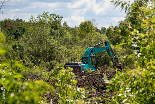 Fotografie Excavator clearing land in a forested area on a sunny day