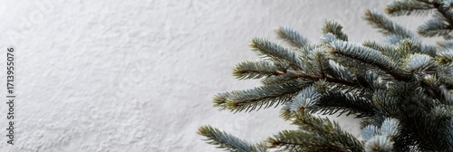 Frost-kissed fir branches invoke wintry solstice tales, Nordic Yule celebration, evergreen serenity whispers under snow-dusted tranquility