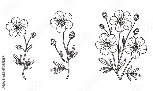 Flax flower graphic black, white, yellow and red isolated sketch illustration vector.