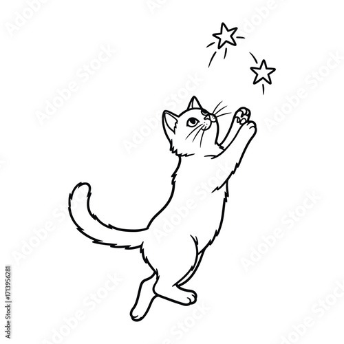 Whimsical Stargazer: A playful sketch of a curious kitten reaching for whimsical stars, capturing the innocent charm of a moment of wonder.