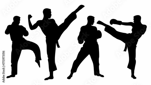 Silhouetted martial artists demonstrating various striking poses and stances in a dynamic composition