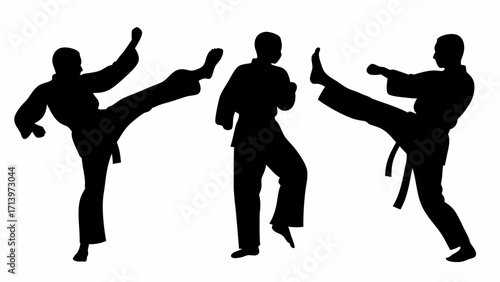 Three martial artists in black silhouette performing kicking stances against a white color background image