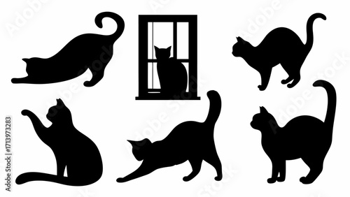 Silhouette illustrations of cats in various poses including stretching and sitting in a window frame