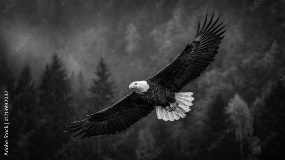 Obraz premium Eagle soaring over misty forest
