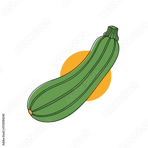 Fresh green zucchini vegetable illustration with yellow circle background.