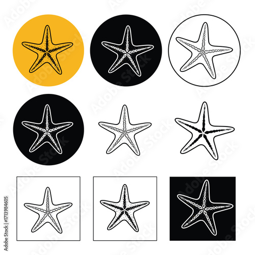 A collection of diverse artistic representations of a starfish showcasing various artistic styles and background colors.
