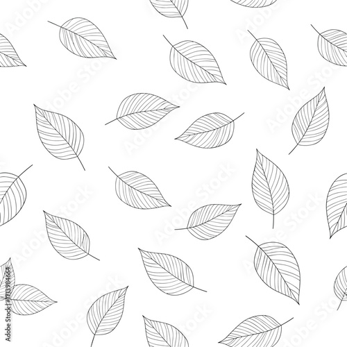 A pattern of scattered delicate leaves with intricate vein details on a white background.