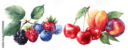 Watercolor illustration of various summer fruits, including berries, peaches, and plums, displayed on a white background. Lush leaves and stems add to the vibrant composition