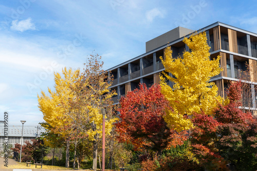 Perspective view of building, apartment with ginkgo and maple tree on blue sky background.