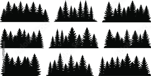 Silhouette collection of pine forests, evergreen conifer trees, woodland landscape elements, wild nature illustration, outdoor scenery, vector tree set design