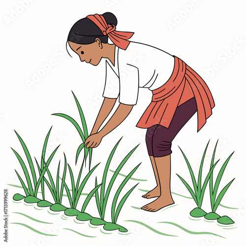A farmer planting rice seedlings in a paddy field with traditional clothing and a headscarf