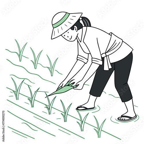 Farmer wearing a hat plants rice seedlings in a flooded paddy field with a simple line drawing style