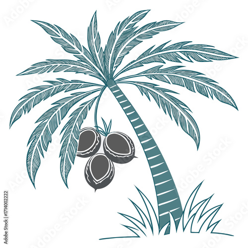Stylized teal palm tree with coconuts and grass on a white background