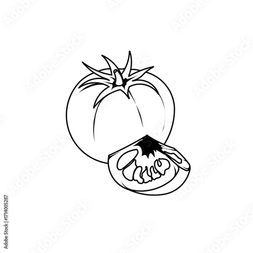 Tomato Vector Illustration