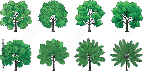 Vector art of collection of eight different green trees
