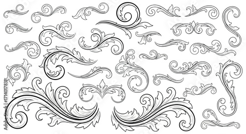 Vector art of intricate baroque scrollwork and flourish elements