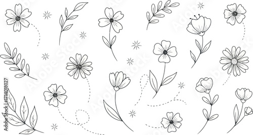 Vector art of whimsical handdrawn floral elements and leaves