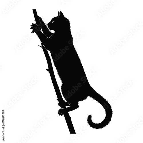 Climbing Silhouette Cat: A sleek black cat with an inquisitive gaze climbs a slender branch. Capturing the feline agility and determination.