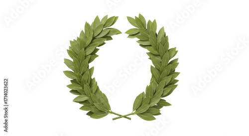 Isolated laurel wreath symbol of victory honor success award achievement, classic design
