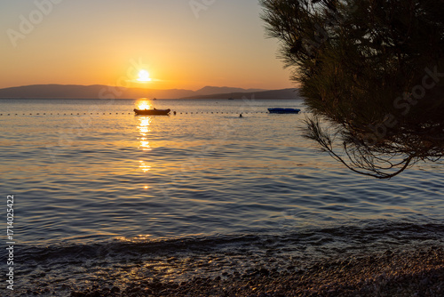 The sunset on the Adriatic Sea seen through the pine tree branch