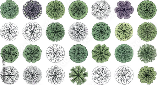 Vector art of collection of various trees from a topdown perspective