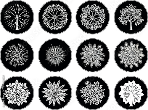 Vector art of collection of twelve circular tree silhouette icons in black and white