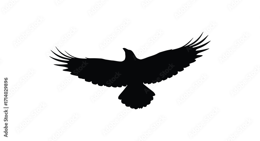 Obraz premium A striking silhouette of a bird in mid flight against a white background