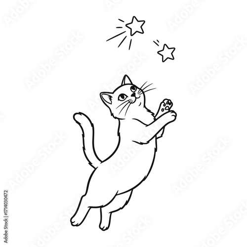 Dream Catcher: A playful cat gazes upwards, paws outstretched as if reaching for the whimsical sparkle of a star, evoking the playful wonder of a kitten's imaginative world.