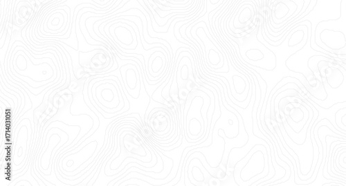 Abstract wavy background. topographic contour background, Abstract gray topography contour map background design.