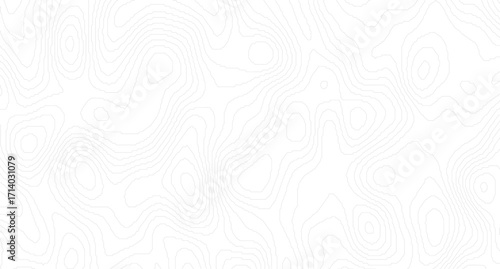 Abstract wavy background. topographic contour background, Abstract gray topography contour map background design.