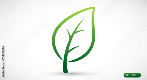 Green leaf vector illustration, representing nature, growth, and environmental sustainability for ecofriendly concepts