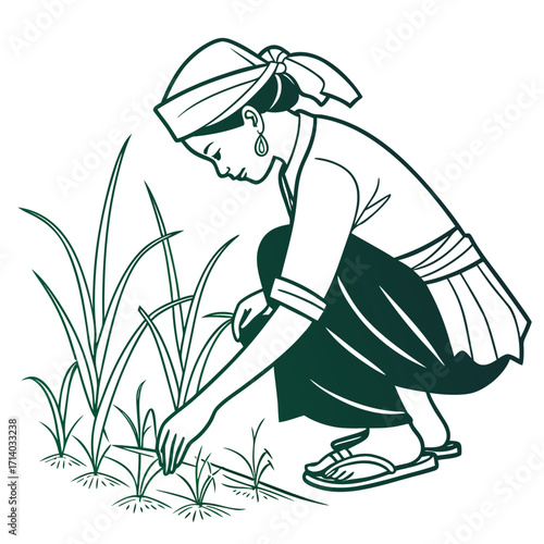 A farmer woman wearing traditional clothing and a headscarf planting rice seedlings in a paddy field