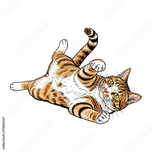 Playful Cat in Delightful Pose: A cute, cartoonish cat in a playful pose, with stripes and a cheerful expression, it's sure to bring a smile and create a happy mood.