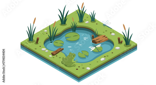 Isometric pond scene with frog and dragonflies in a lush green landscape