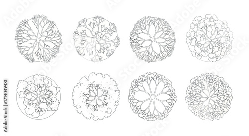 Vector art of top view illustration of various stylized trees