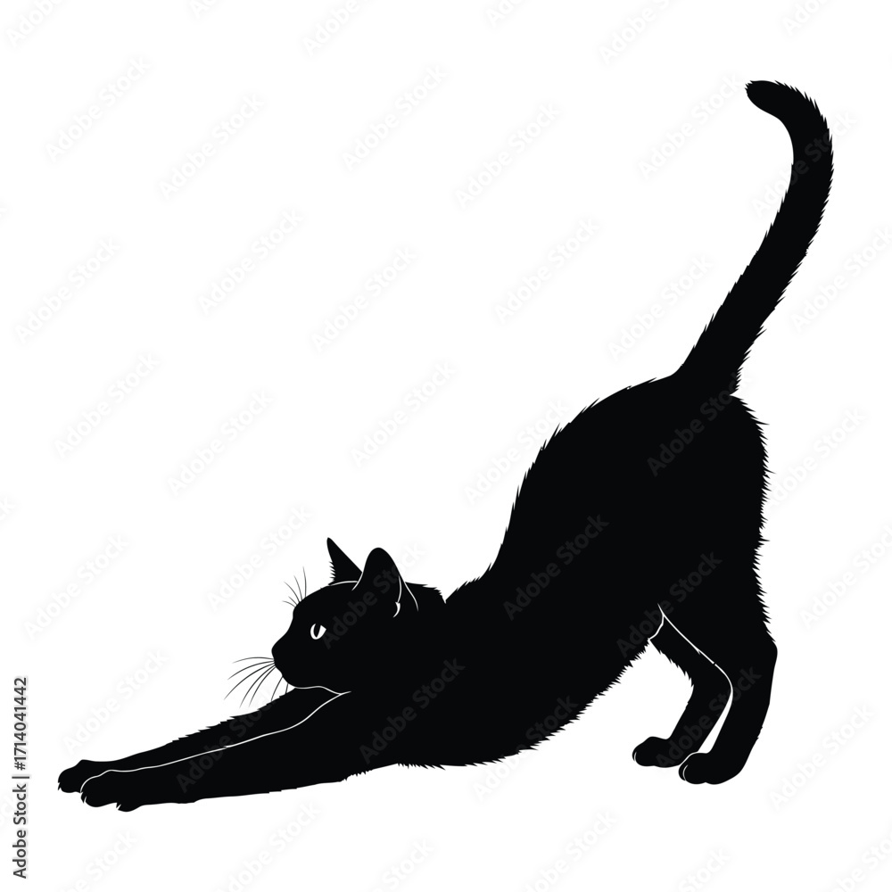 Obraz premium Silhouette of Stretching Cat: A sleek black cat is captured in a silhouette, showcasing its elegant stretch, highlighting the feline's graceful form.