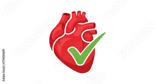Healthy heart with a green check mark, symbolizing good cardiovascular health and a positive medical diagnosis