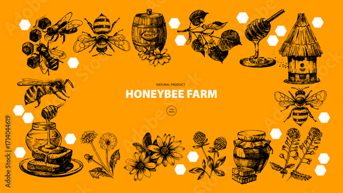 Hand drawn vintage honey frame. Hand drawn vector illustration. Packaging design