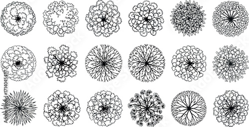 Vector art of topdown view of various tree types in a stylized, handdrawn illustration