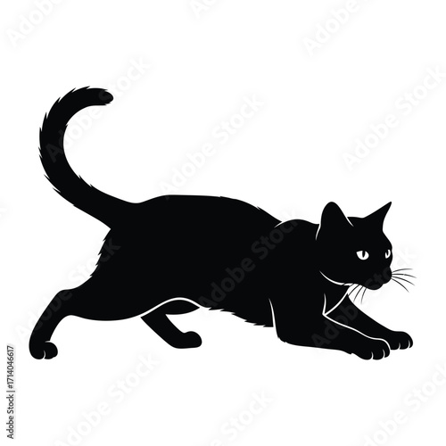 Stealthy Black Cat: An image depicting a sleek black cat silhouette poised in a hunting stance, with its eyes fixed and ready to pounce.