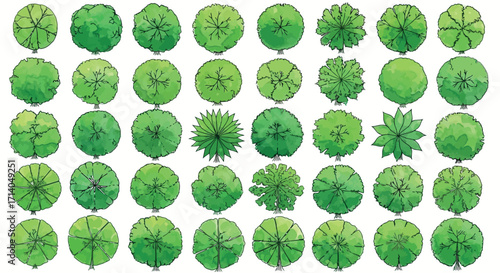 Vector art of vibrant green tree top view illustrations