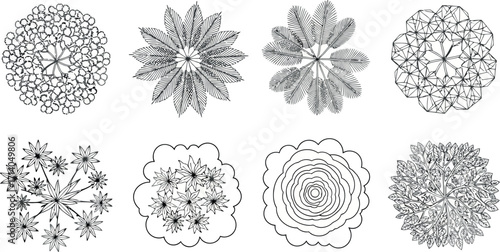 Vector art of monochromatic topdown view of diverse tree and plant silhouettes